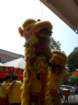 photo6_small.jpg